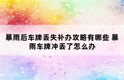 暴雨后车牌丢失补办攻略有哪些 暴雨车牌冲丢了怎么办